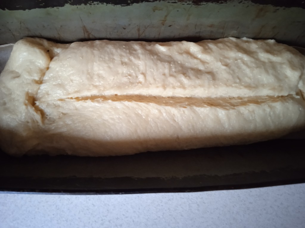 Nacięte ciasto w formie
